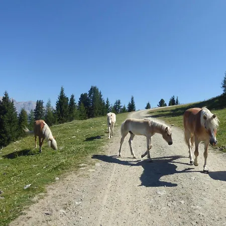 Bergflair See