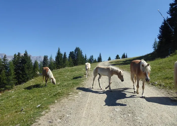 Bergflair In - Ischgl See